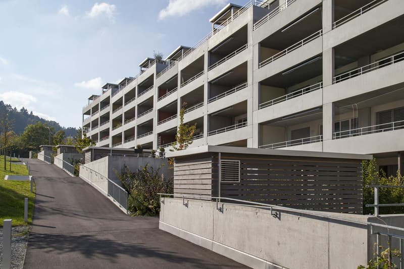 3.5 Zimmerwohnung In Au (2)