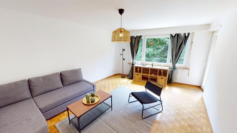 Möblierte 3-Zimmer-Wohnung im Herzen von Zürich - ENGLISH BELOW (4)