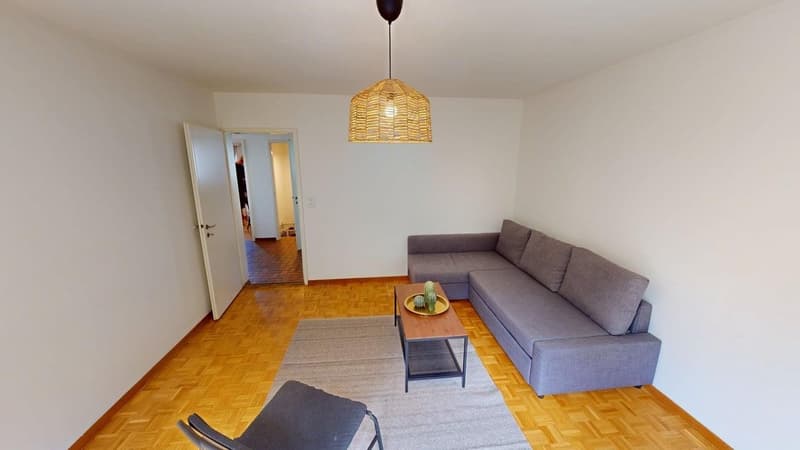 Möblierte 3-Zimmer-Wohnung im Herzen von Zürich - ENGLISH BELOW (3)