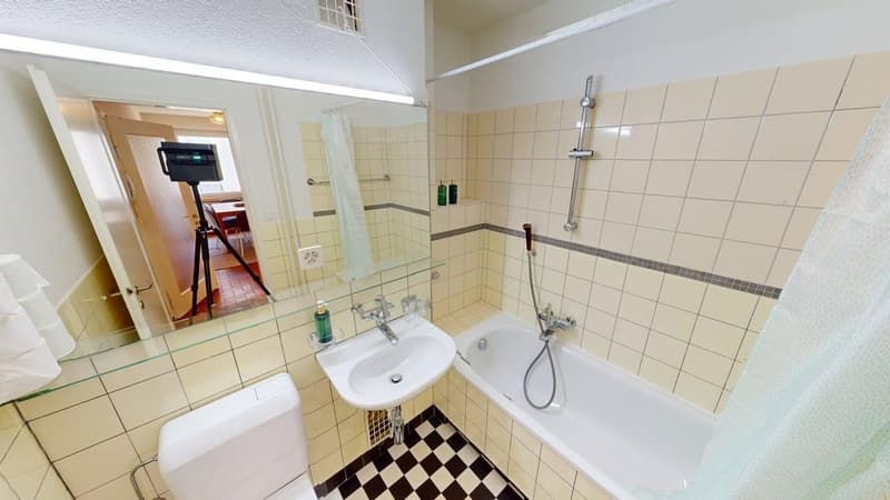 Möblierte 3-Zimmer-Wohnung im Herzen von Zürich - ENGLISH BELOW (11)