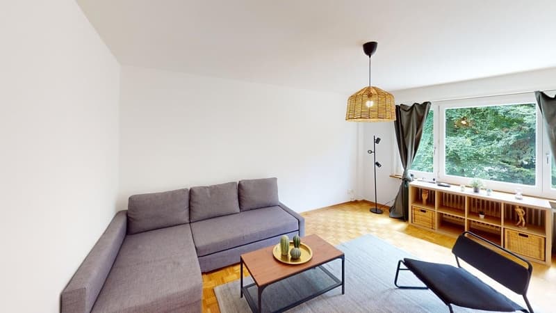 Möblierte 3-Zimmer-Wohnung im Herzen von Zürich - ENGLISH BELOW (5)