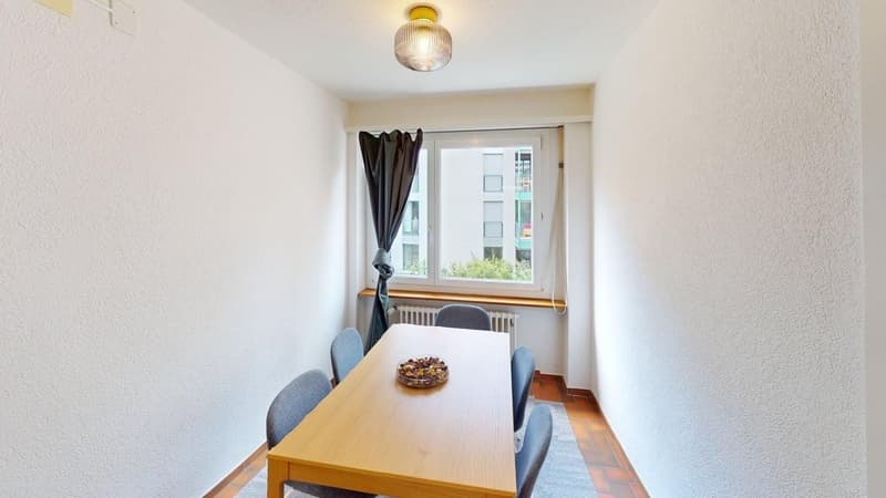 Möblierte 3-Zimmer-Wohnung im Herzen von Zürich - ENGLISH BELOW (9)