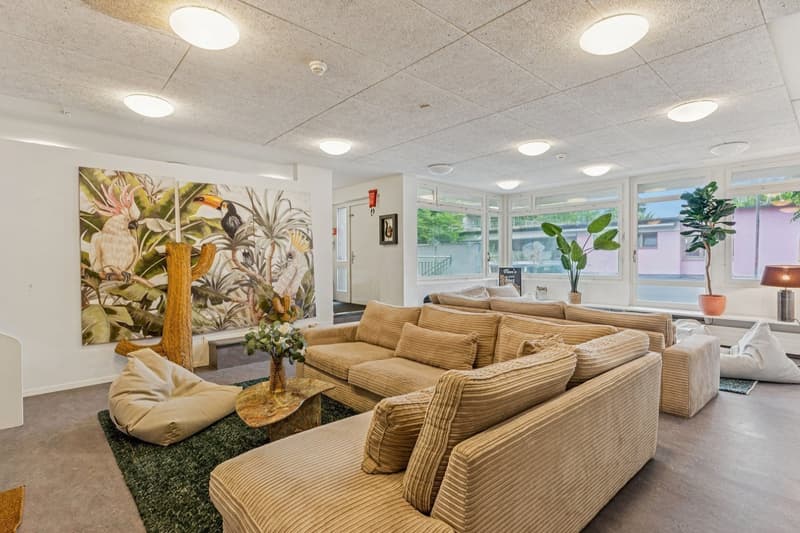 Ihr Co-Living-Zuhause bis 16.08.2026 oder 16.08.2027 im Herzen von Zürich (8)
