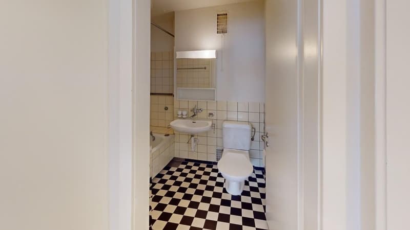3-Zimmer-Wohnung als Zwischennutzung im Herzen von Zürich (Mietfrist bis 31.03.2027) (9)