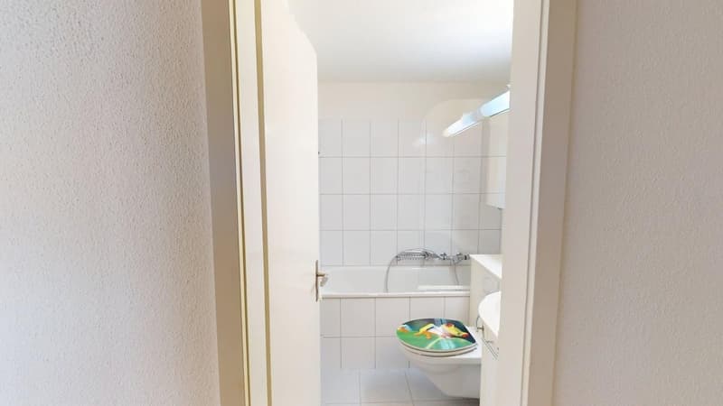 Ruhige 4-Zimmer-Wohnung in Zürich-Witikon (Zwischennutzung bis März 2027) (7)