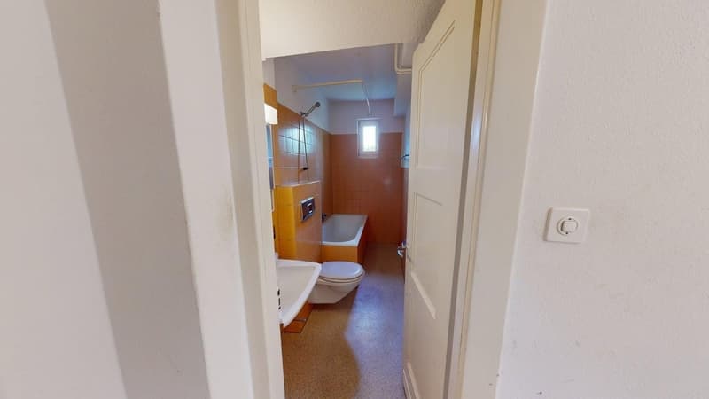 1-Zimmer-Wohnung in Altstetten (ideale Zwischenlösung bis 30.04.2027) (4)