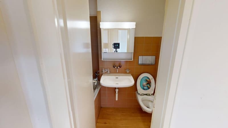 2-Zimmer-Wohnung in Altstetten (ideale Zwischenlösung bis 30.04.2027) (5)
