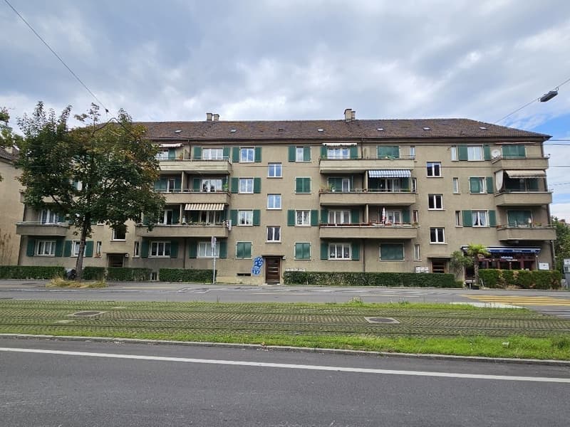 4-Zimmer-Wohnung in Zürich Altstetten (ideale Zwischenlösung bis 30.04.2027) (4)