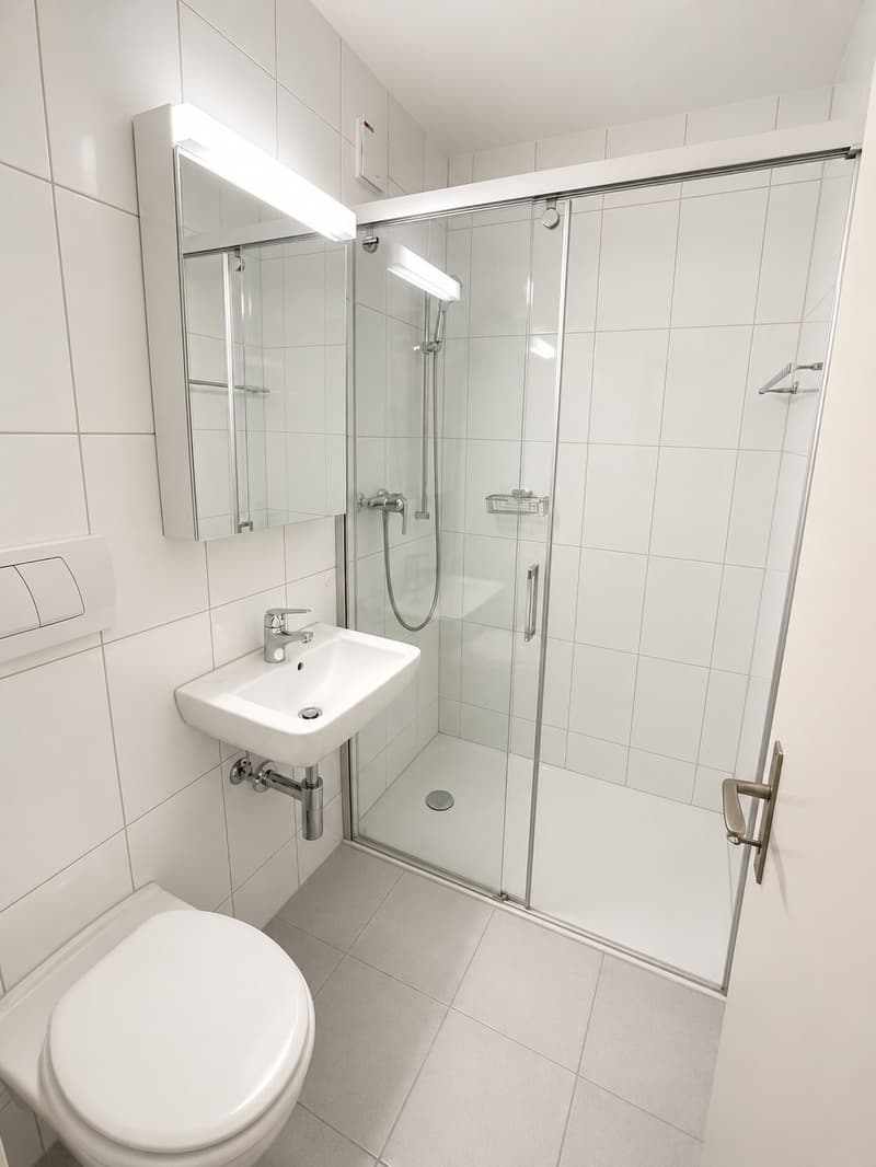 2-Zimmer-Wohnung in naturnaher Lage Horgen BEFRISTET bis 30.09.2027 (3)