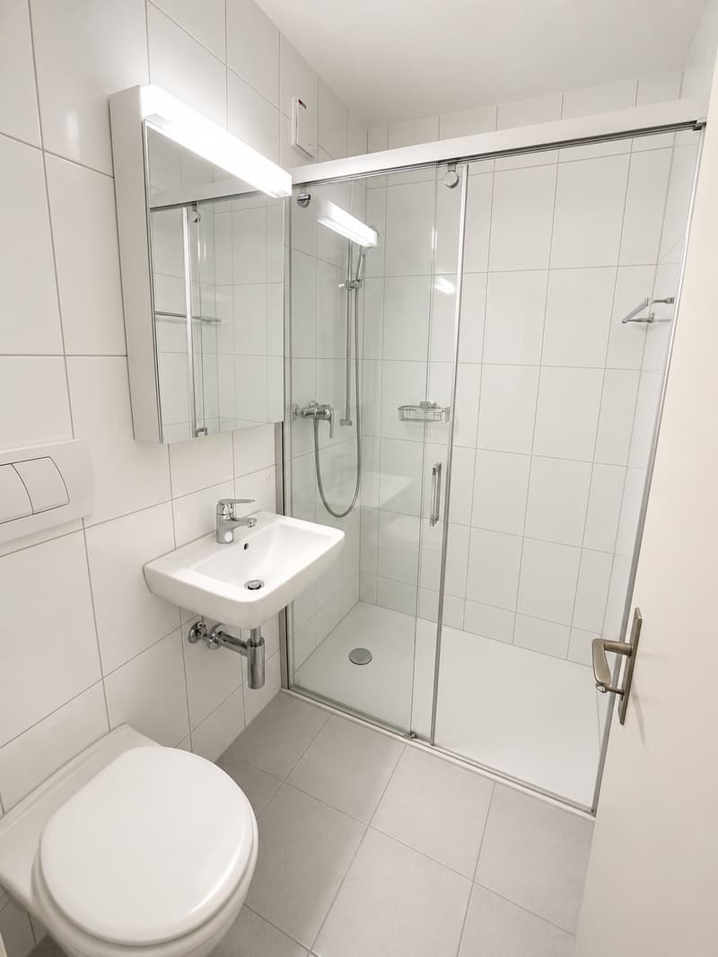2-Zimmer-Wohnung in naturnaher Lage Horgen BEFRISTET bis 31.10.26 (3)