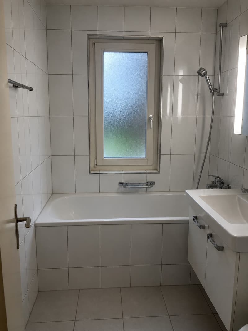 4-Zimmer-Wohnung in naturnaher Lage Horgen BEFRISTET bis 30.09.2027 (6)