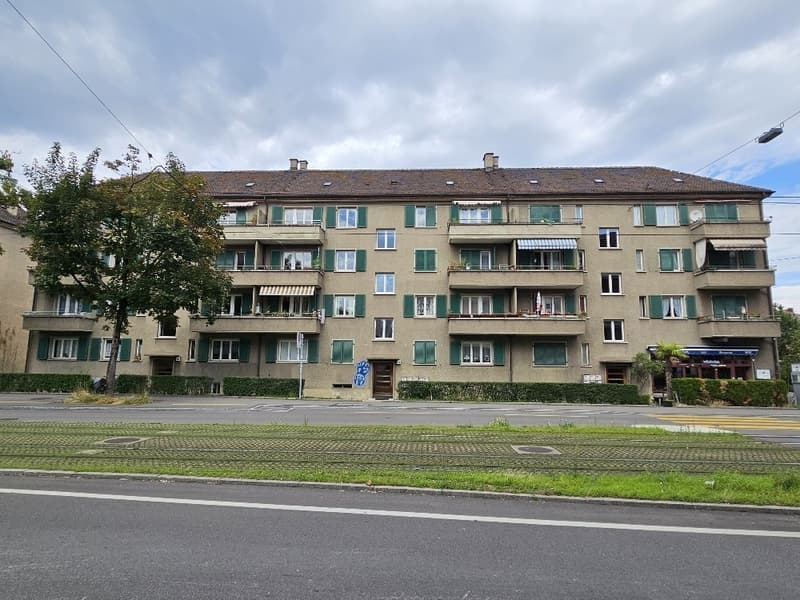 4-Zimmer-Wohnung in Zürich Altstetten (ideale Zwischenlösung bis 30.04.2027) (4)