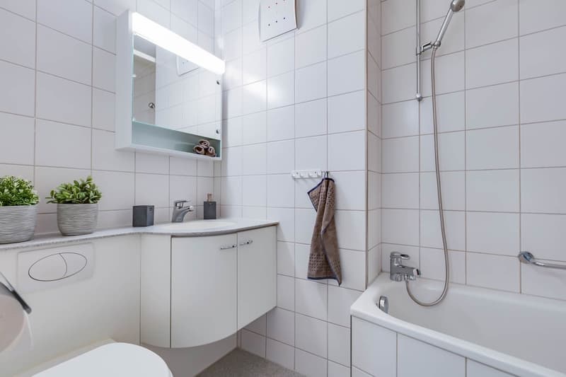 Bright temporary maisonette apartment with special living comfort in Bellach (2)