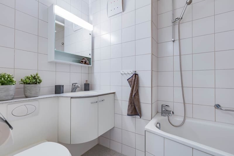 Bright limited-time maisonette apartment with special living comfort in Bellach (2)