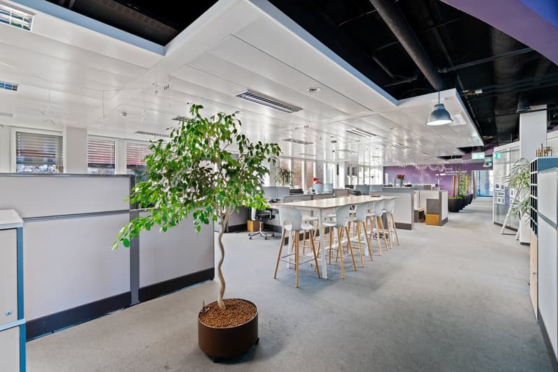 Espace commercial flexible (30 m²) directement à la gare de Bâle à partir de CHF 390./mois pour une période limitée de 3 ans (4)