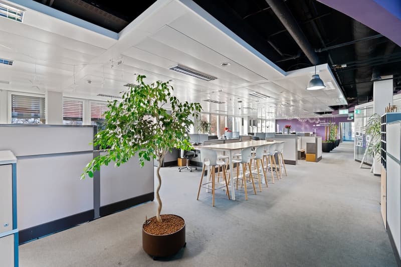 Espace commercial flexible (60 m²) directement à la gare de Bâle à partir de CHF 590./mois pour une période limitée de 3 ans (4)