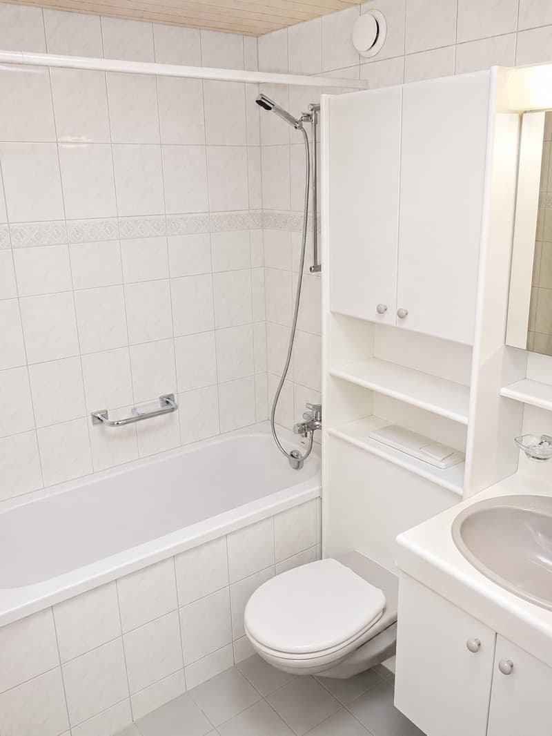 Charmante und naturnahe, helle 4-Zimmer-Wohnung befristet in Uetikon am See (4)