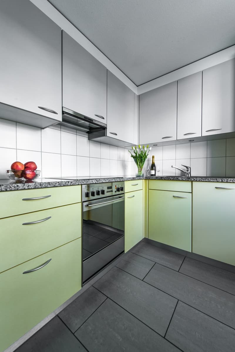 Bright 3-room apartment in Zürich Seebach, limited until (30.04.2027) (3)