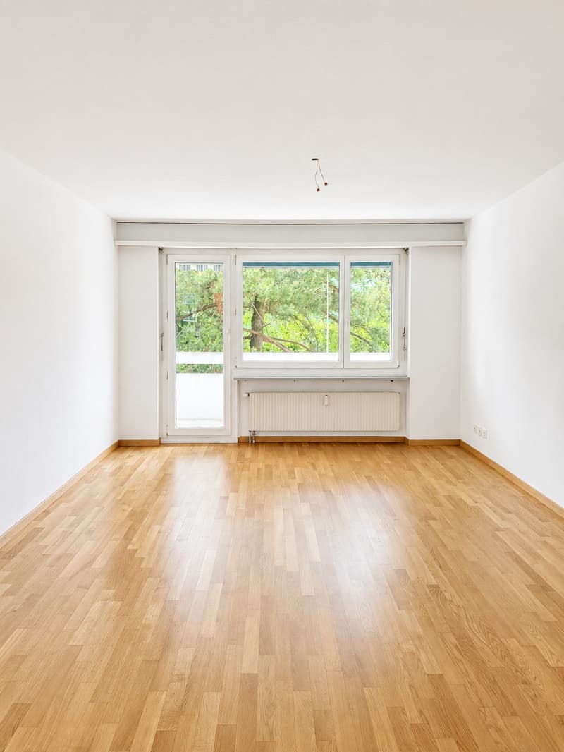 Bright 2-room apartment in Zurich, limited until (31.01.2027) (1)