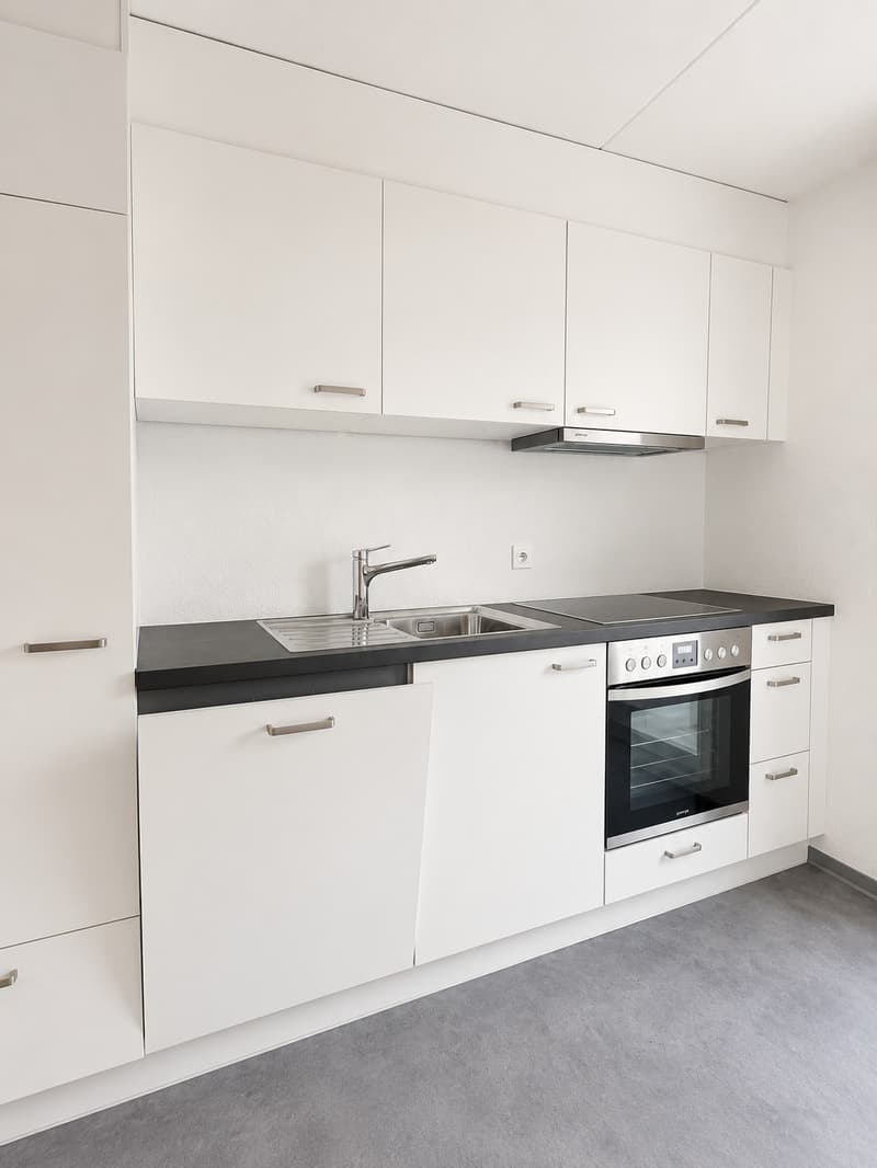 Bright 3-room apartment in Zurich, limited until (31.08.2027) (3)
