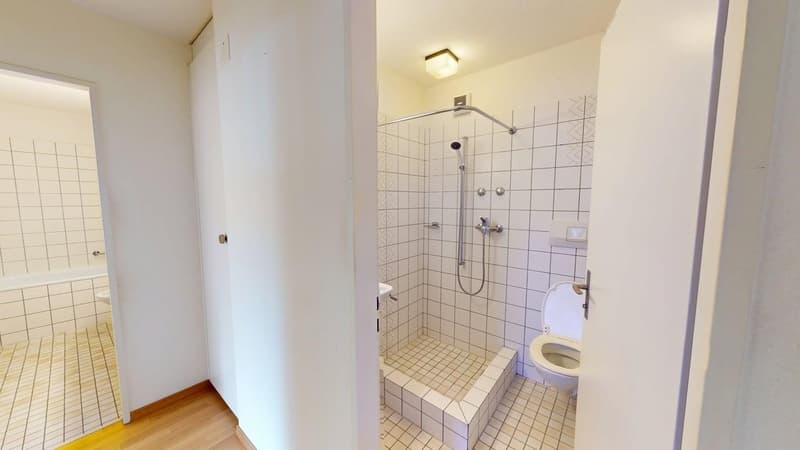 Gemütliche 4-Zimmer-Wohnung in Zürich-Altstetten (Befristung bis 30.09.2027) (10)
