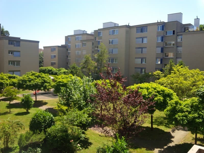 Gemütliche 3-Zimmer-Wohnung in Zürich-Altstetten (Befristung bis 30.09.2027) (1)