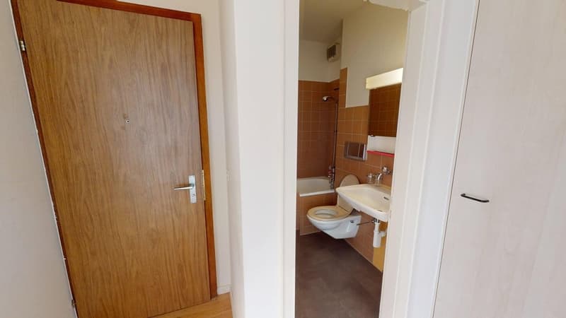 3-Zimmer-Wohnung in Zürich Altstetten (ideale Zwischenlösung bis 30.04.2027) (4)