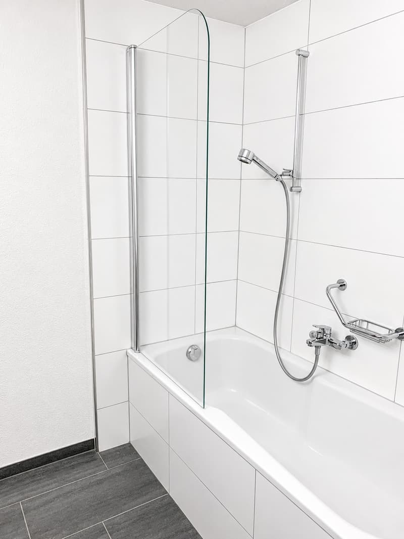 Helle 1-Zimmer-Wohnung in Zürich befristet bis (31.05.2027) (3)
