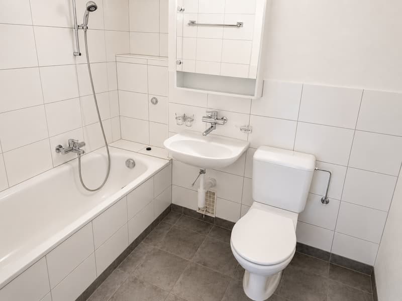 3-Zimmer-Wohnung im Herzen von Zürich - ENGLISH BELOW (8)
