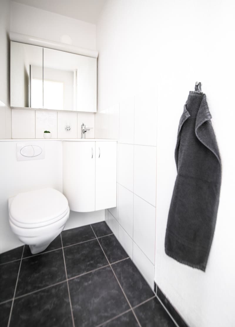 Helle 1-Zimmer-Wohnung in Zürich Seebach befristet bis (31.01.2027) (4)