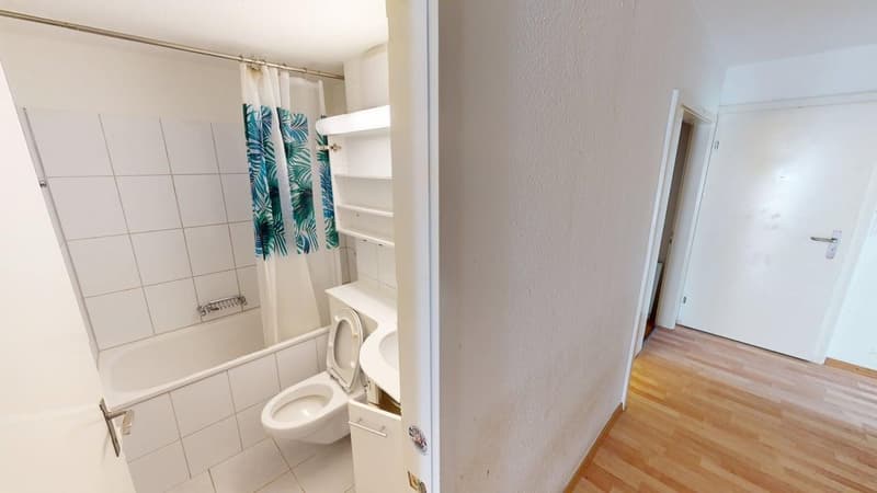 Ruhige 4-Zimmer-Wohnung in Zürich-Witikon (Zwischennutzung bis März 2027) (9)
