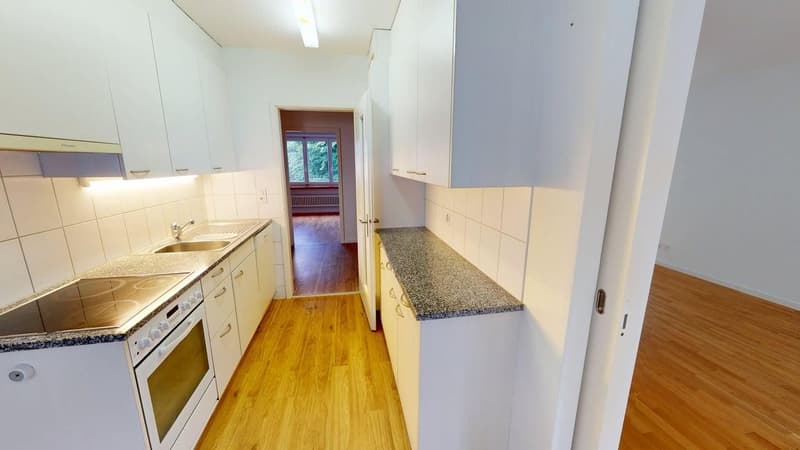 Ruhige 4-Zimmer-Wohnung in Zürich-Witikon (Zwischennutzung bis März 2027) (3)