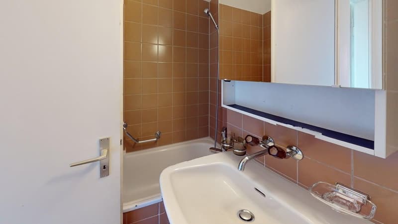 2-Zimmer-Wohnung in Altstetten (ideale Zwischenlösung bis 30.04.2027) (9)