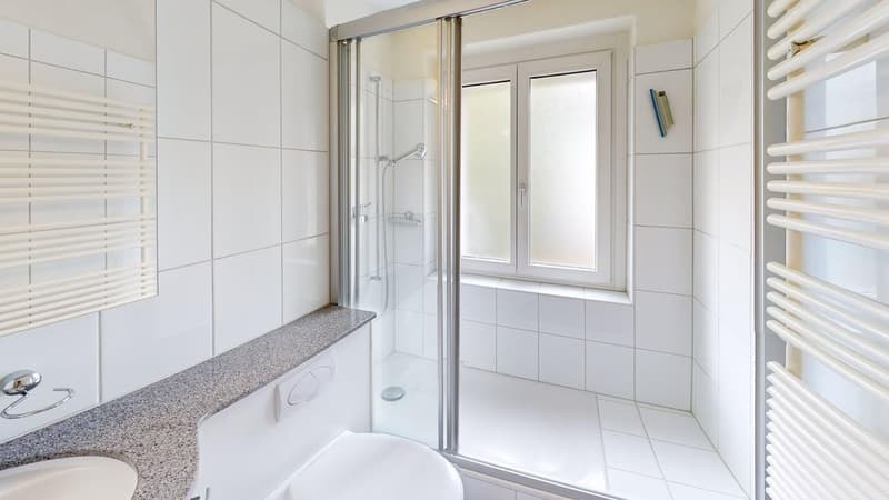 Befristet bis 30.09.2027: Ideale Zwischenlösung  2-Zimmerwohnung in Wiedikon (5)