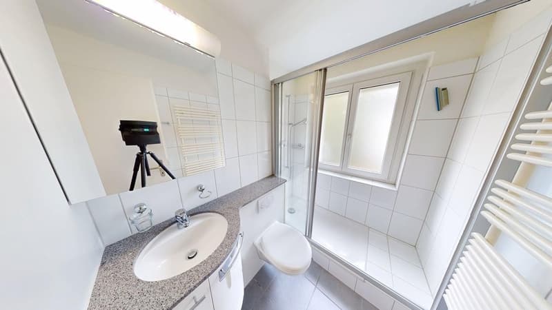 Befristet bis 30.09.2027: Ideale Zwischenlösung  2-Zimmerwohnung in Wiedikon (11)