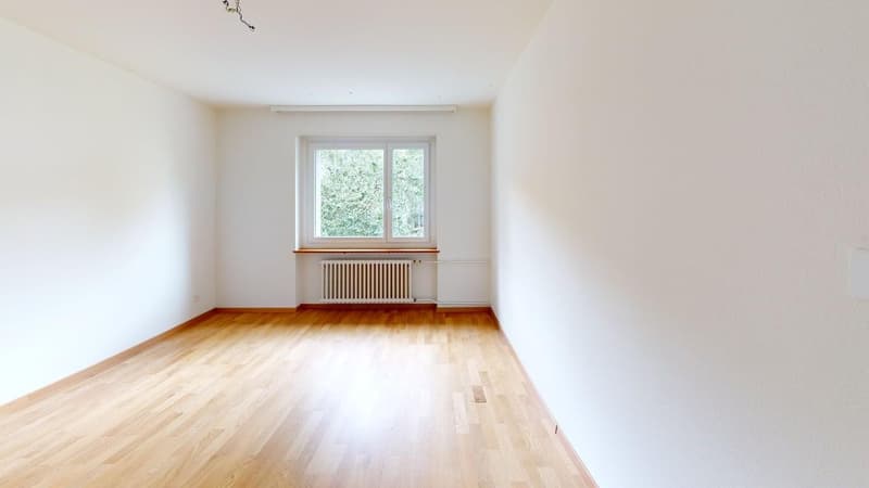 Befristet bis 30.09.2027: Ideale Zwischenlösung  2-Zimmerwohnung in Wiedikon (3)