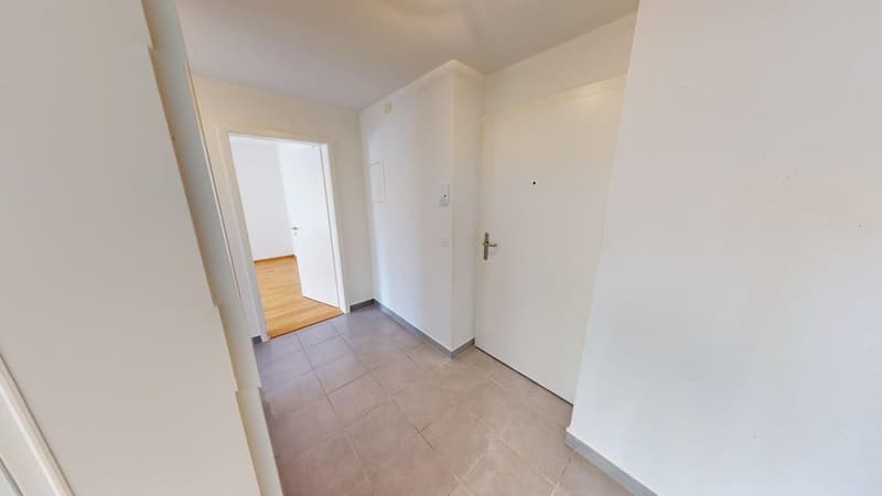 Befristet bis 30.09.2027: Ideale Zwischenlösung  2-Zimmerwohnung in Wiedikon (4)