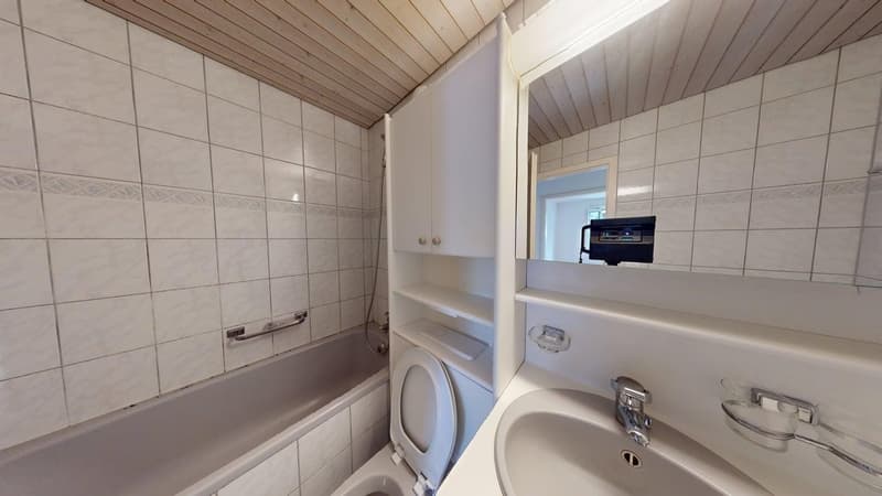 Helle 3-Zimmer-Wohnung im EG ruhig wohnen in Uetikon am See | BEFRISTET (13)