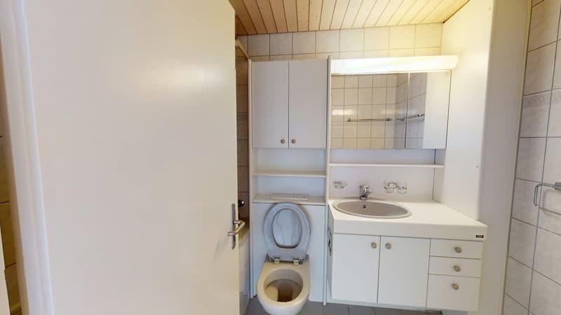 Helle 4-Zimmer-Wohnung im 1. OG ruhig wohnen in Uetikon am See | BEFRISTET (12)