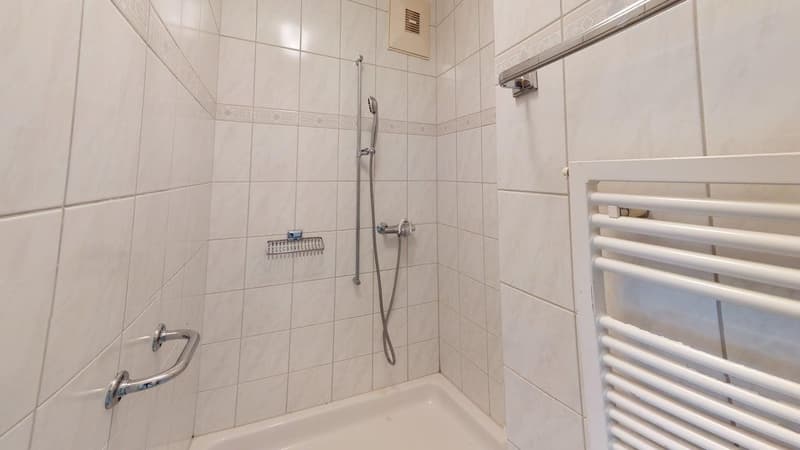Helle und großzügige 5-Zimmer-Wohnung in Zollikon befristet bis 04/2027 (10)