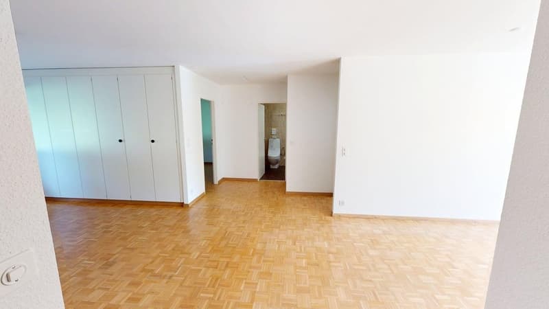 Helle 4-Zimmer-Wohnung im EG ruhig wohnen in Herrliberg | BEFRISTET (10)