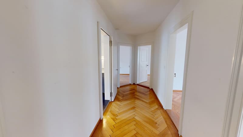 4-Zimmer-Wohnung an zentraler Lage in Zürich (Kreis 4) (4)