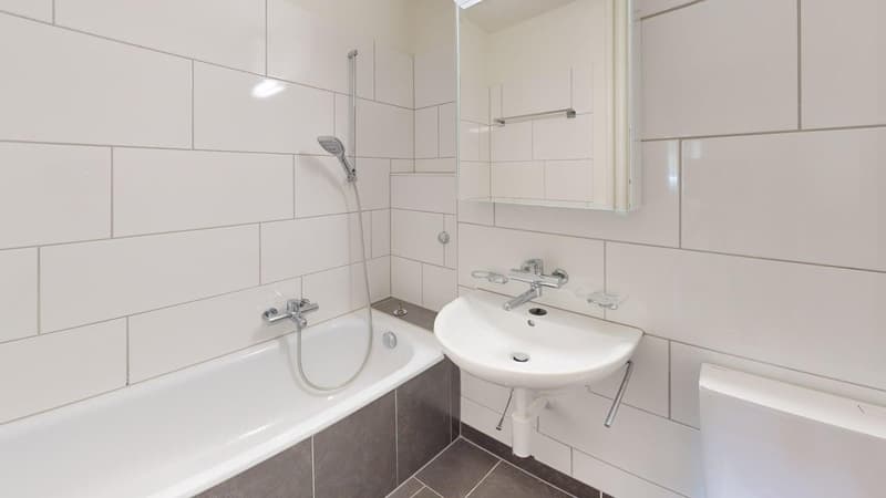 3-Zimmer-Wohnung im Herzen von Zürich (7)