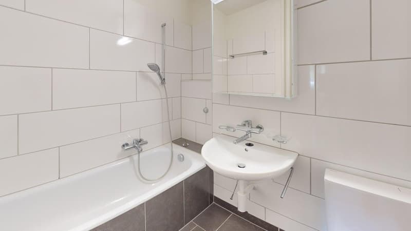 3-Zimmer-Wohnung im Herzen von Zürich (6)