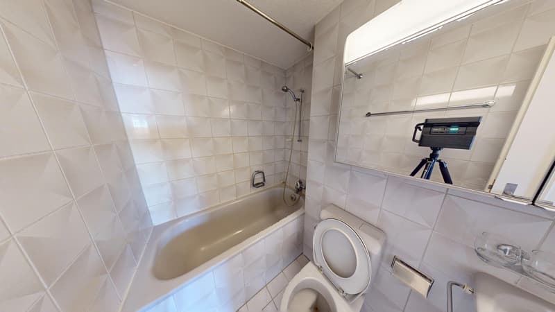 3-Zimmer-Wohnung in Zürich-Werd / Befristet bis 15.01.2027 (8)