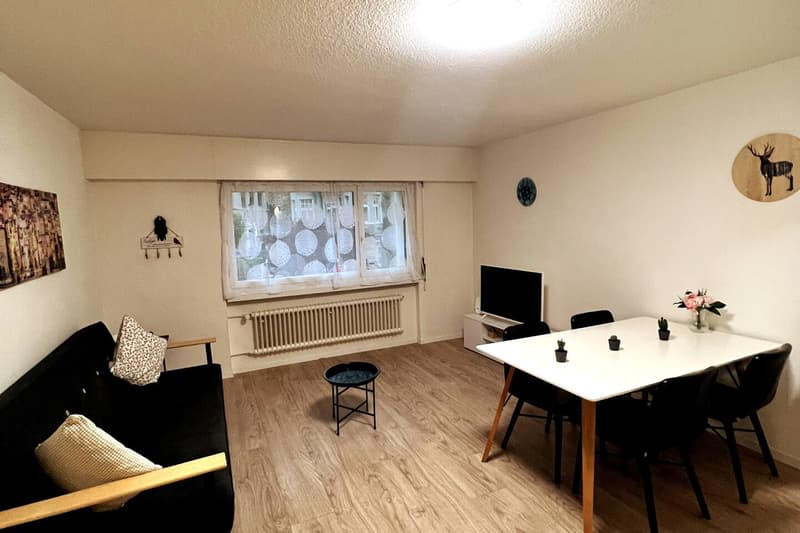Expats-4.5 room fully Furnished Business Apartment in the heart of city, 6004 Luzern- (2)