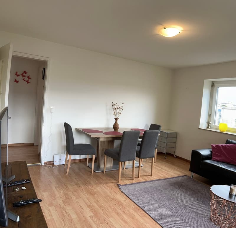 Expats Friendly -1.5 fully furnished business apartment - Wallisellen NWS-75 - Full / Sharing / WG (2)