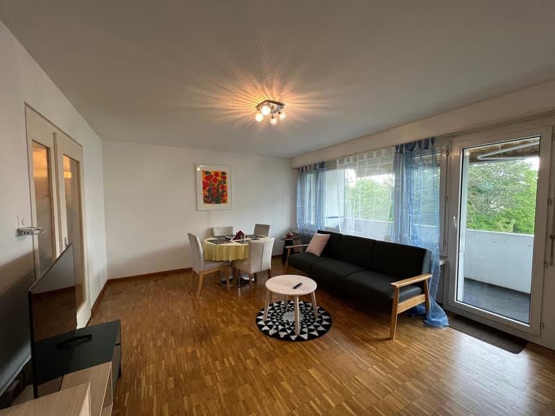 For Expats -2.5Zi Furnished Business Apartment @ 8600 Dübendorf (1)