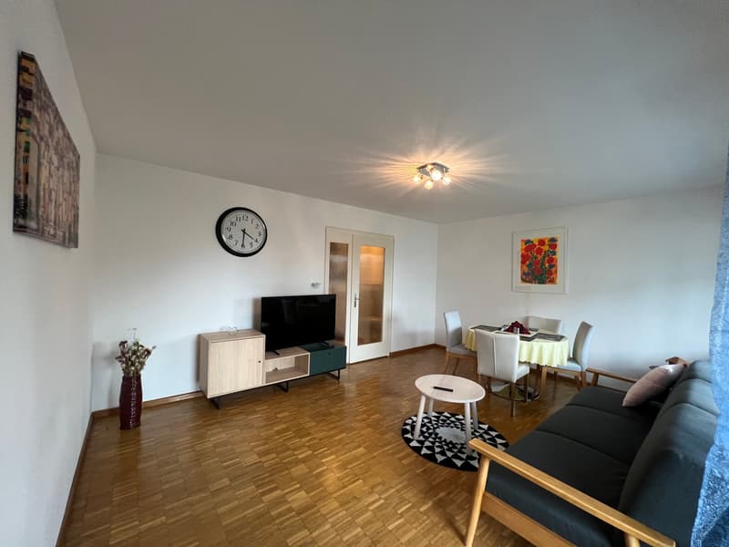 For Expats -6.5Zi Furnished Business Apartment @ 8600 Dübendorf (2)