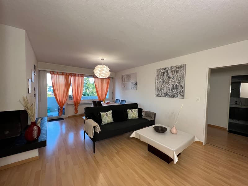 Expats Friendly - Independent Room - Male Sharing - Fully Furnished 4.5Zi Apartment/WG - Wallisellen (2)